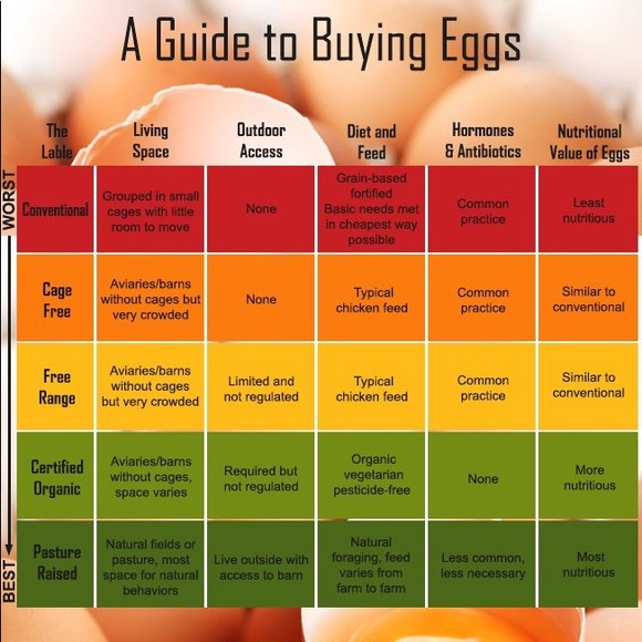 Welcome to Simply Chick π€ - Picture 9 of 9